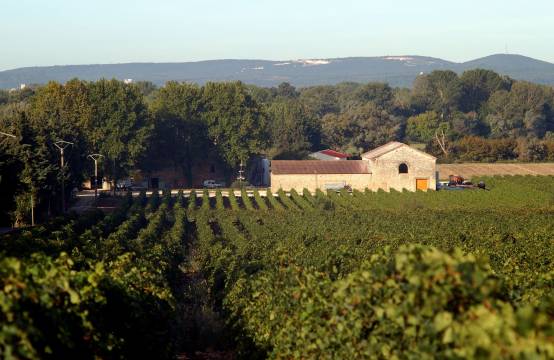 Het wijngoed omringd door wijgaarden