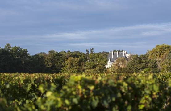 Het château verscholen tussen de wijngaarden